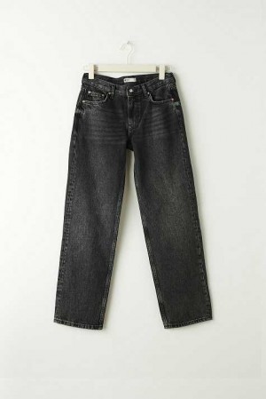 Women Gina Tricot Low Straight Petite Jeans Black | 28DYSUXPJ